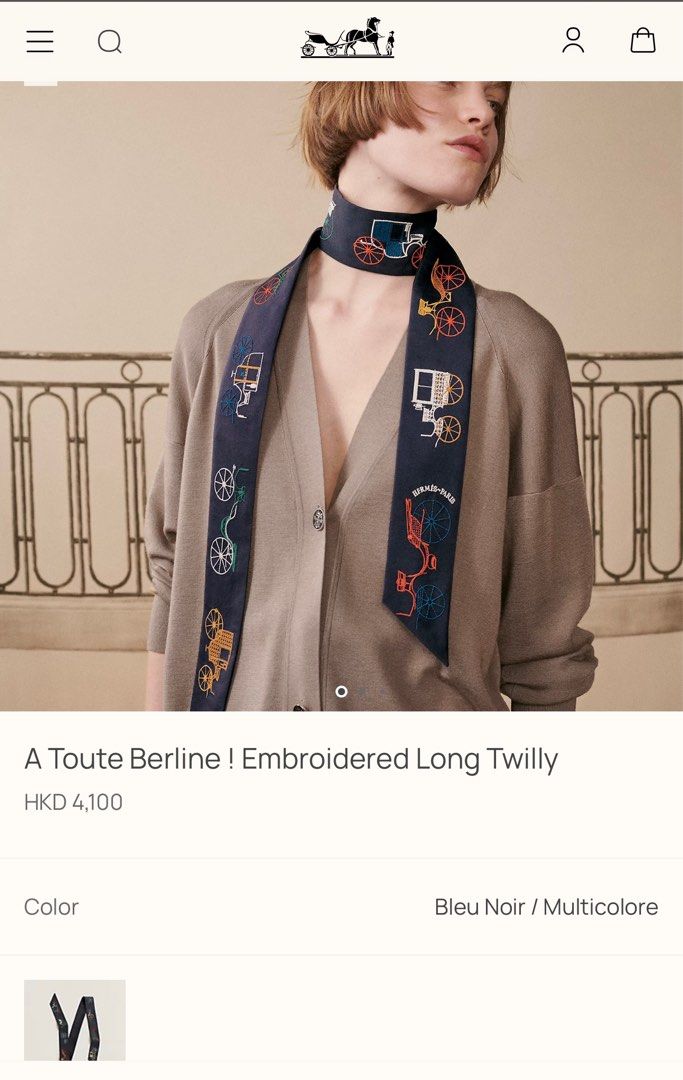 Hermes A Toute Berline ! Embroidered Long Twilly