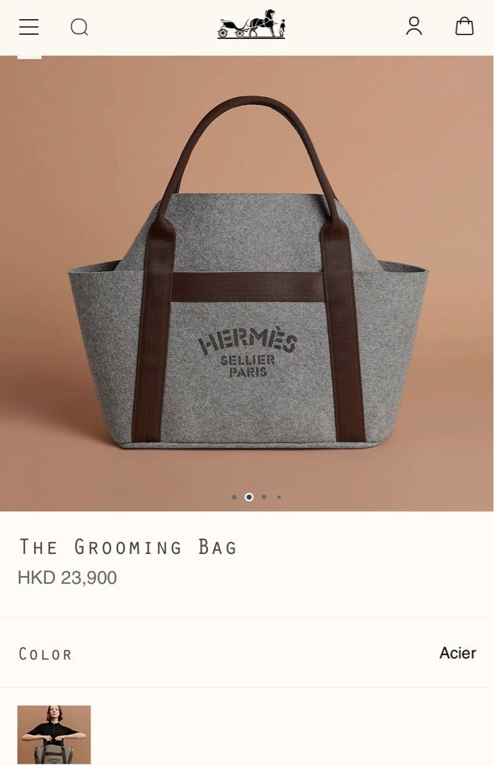Hermes the grooming bag