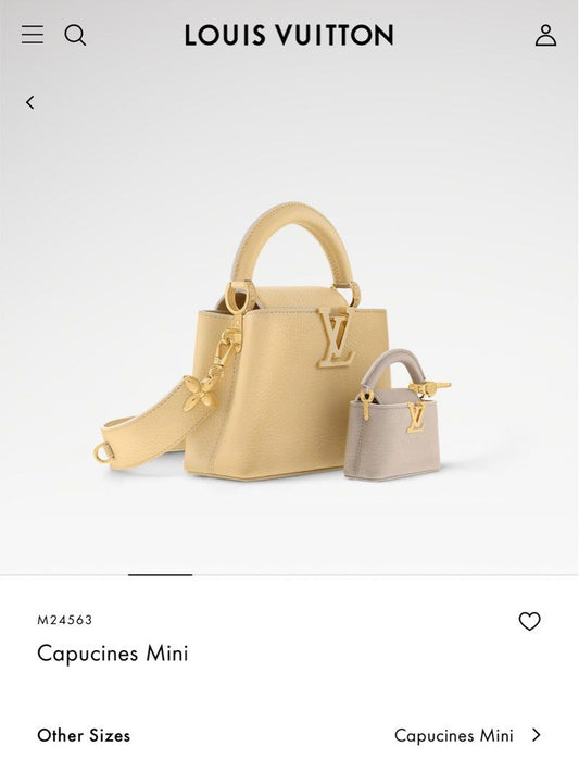 Louis Vuitton capucines mini M24563